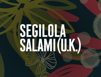 Screenshot of the mother & son self-publishing team of C.B. Hoffmann and Dan Hoffmann on The Segilola Salami Show in the United Kingdom